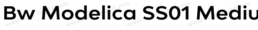 Bw Modelica SS01 Medium Expanded字体转换